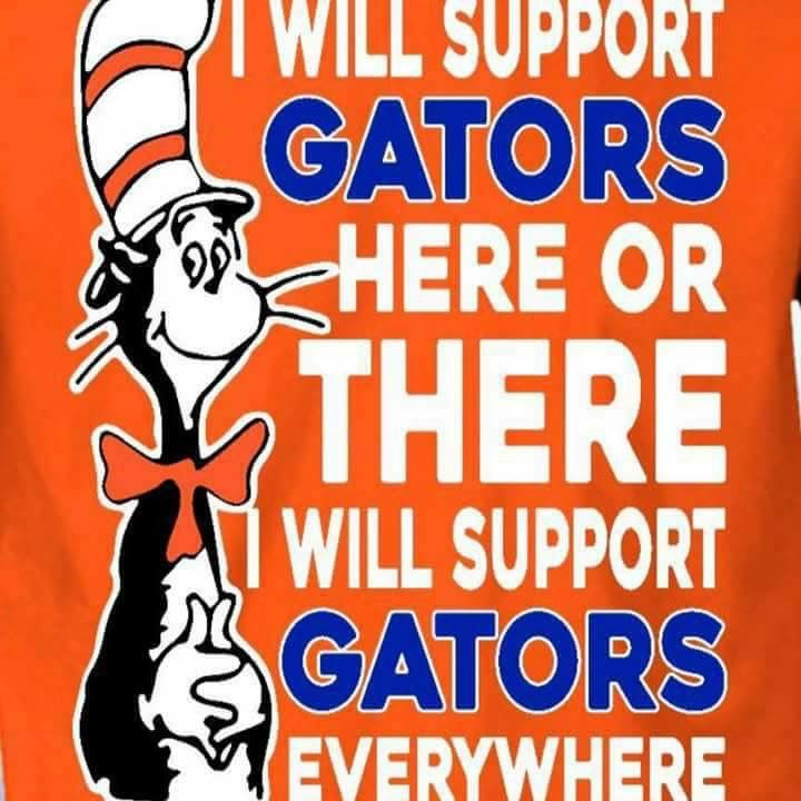 ce05bfa3557a7c52399fa9dd3789c67a--gators-football-florida-gators.jpg
