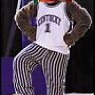 GatorNationSensation