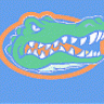 GatorGrad74