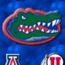 CaliZona_Gator