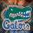 msgatorsfan